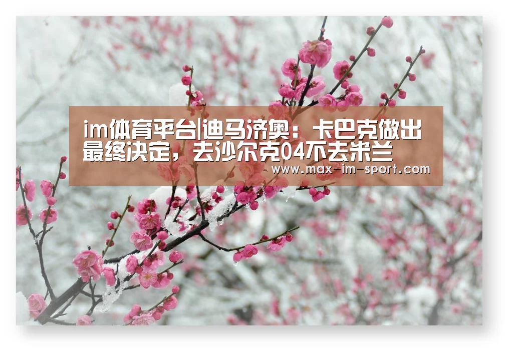 im体育平台