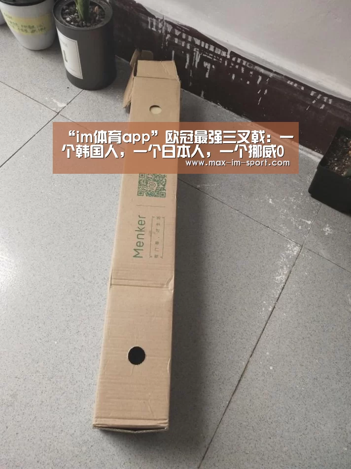 “im体育app”欧冠最强三叉戟:一个韩国人,一个日本人,一个挪威00后(图2) im体育